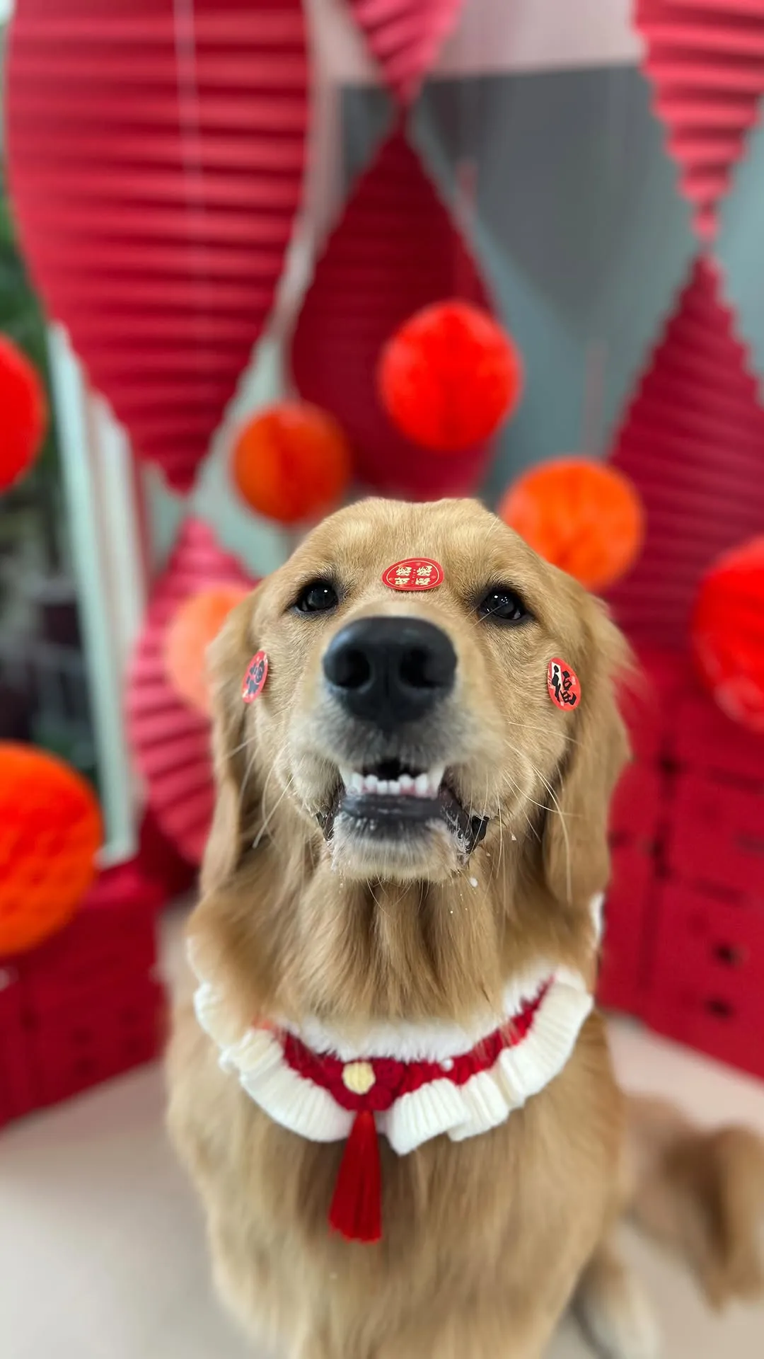 沐森琳黃金陣容之最強壯的體育股長Eddy！