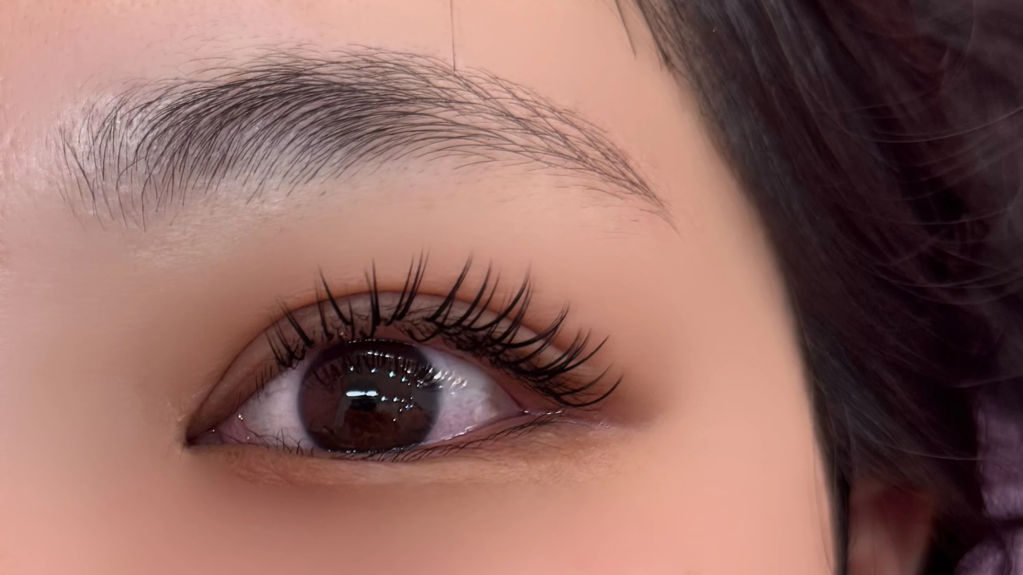 美睫
