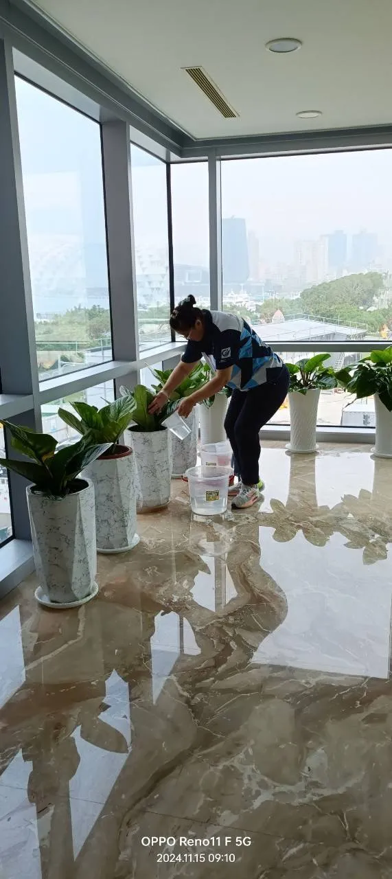 駐場清潔-高雄駐場清潔｜高雄清潔阿姨｜台東駐點清潔｜屏東清潔阿姨