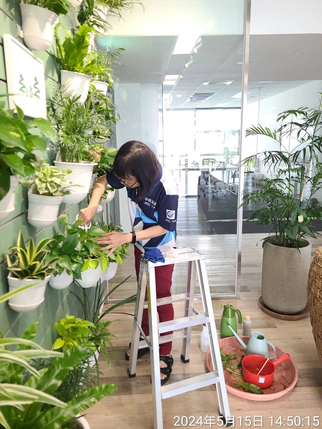 植栽養護和樹木圍籬草皮修整時況