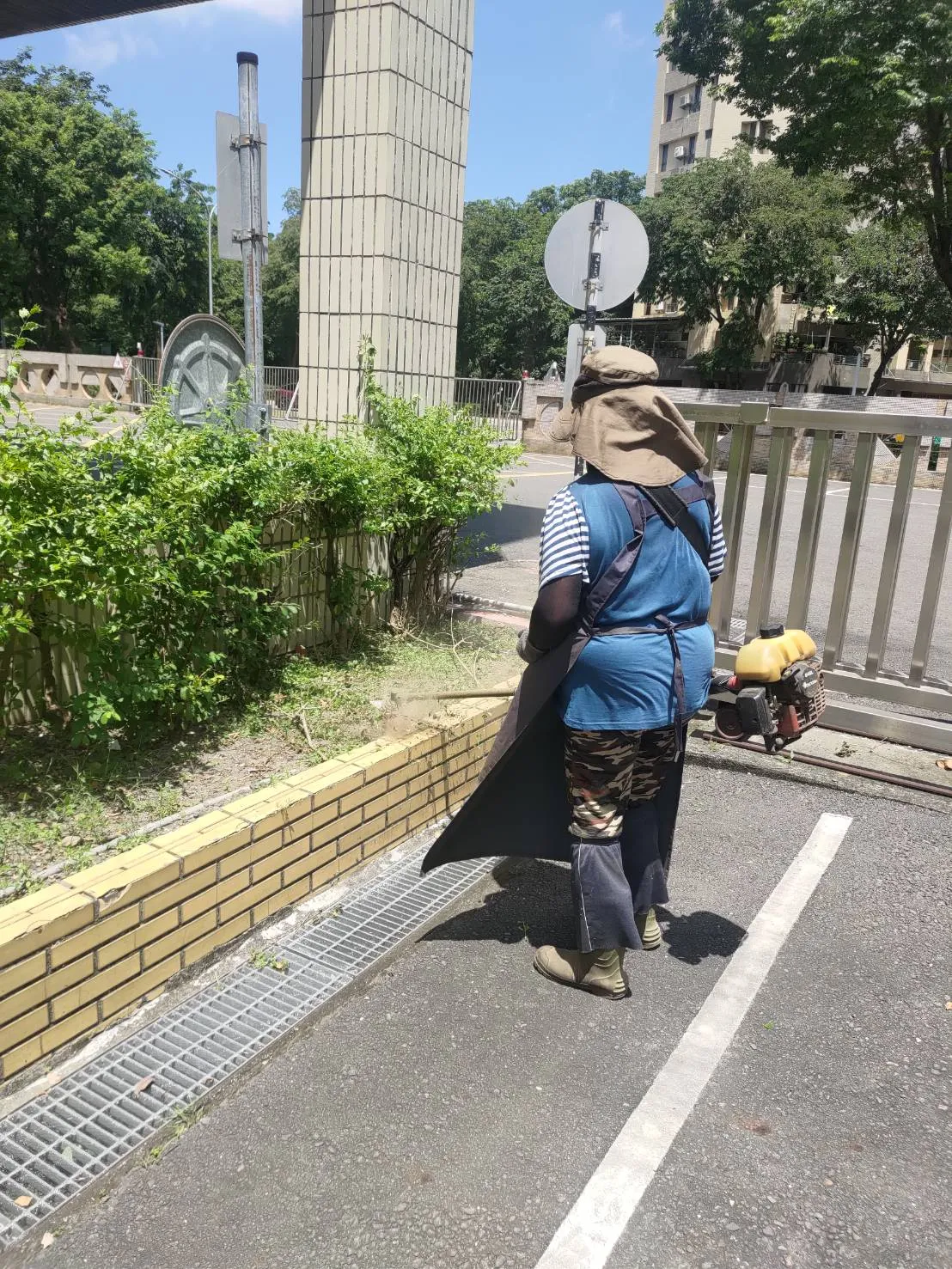 植栽養護和樹木圍籬草皮修整時況