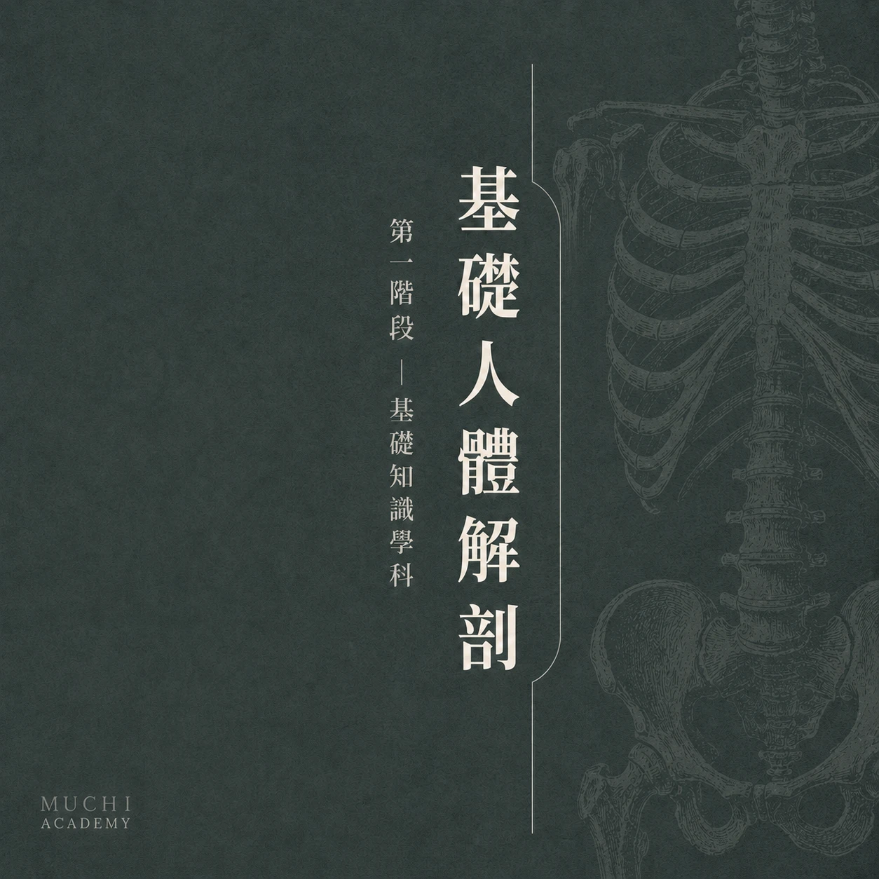 基礎人體解剖課程｜台中一對一、小班教學｜沐憩學院