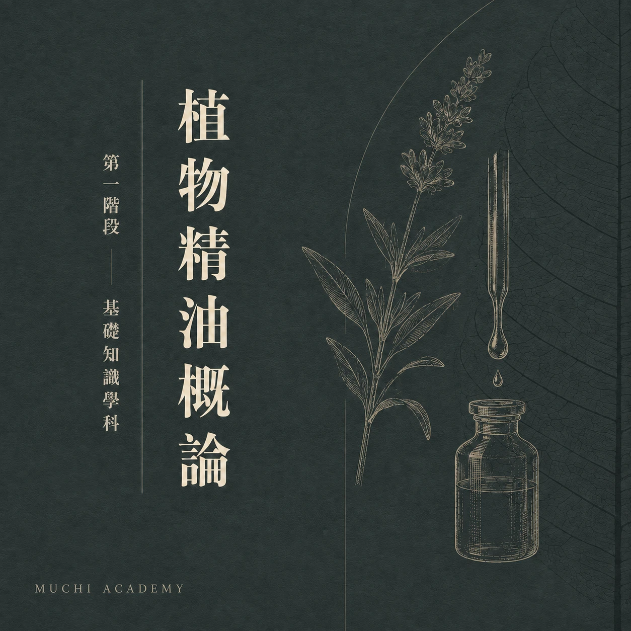 植物精油概論｜精油安全與應用課程｜沐憩學院