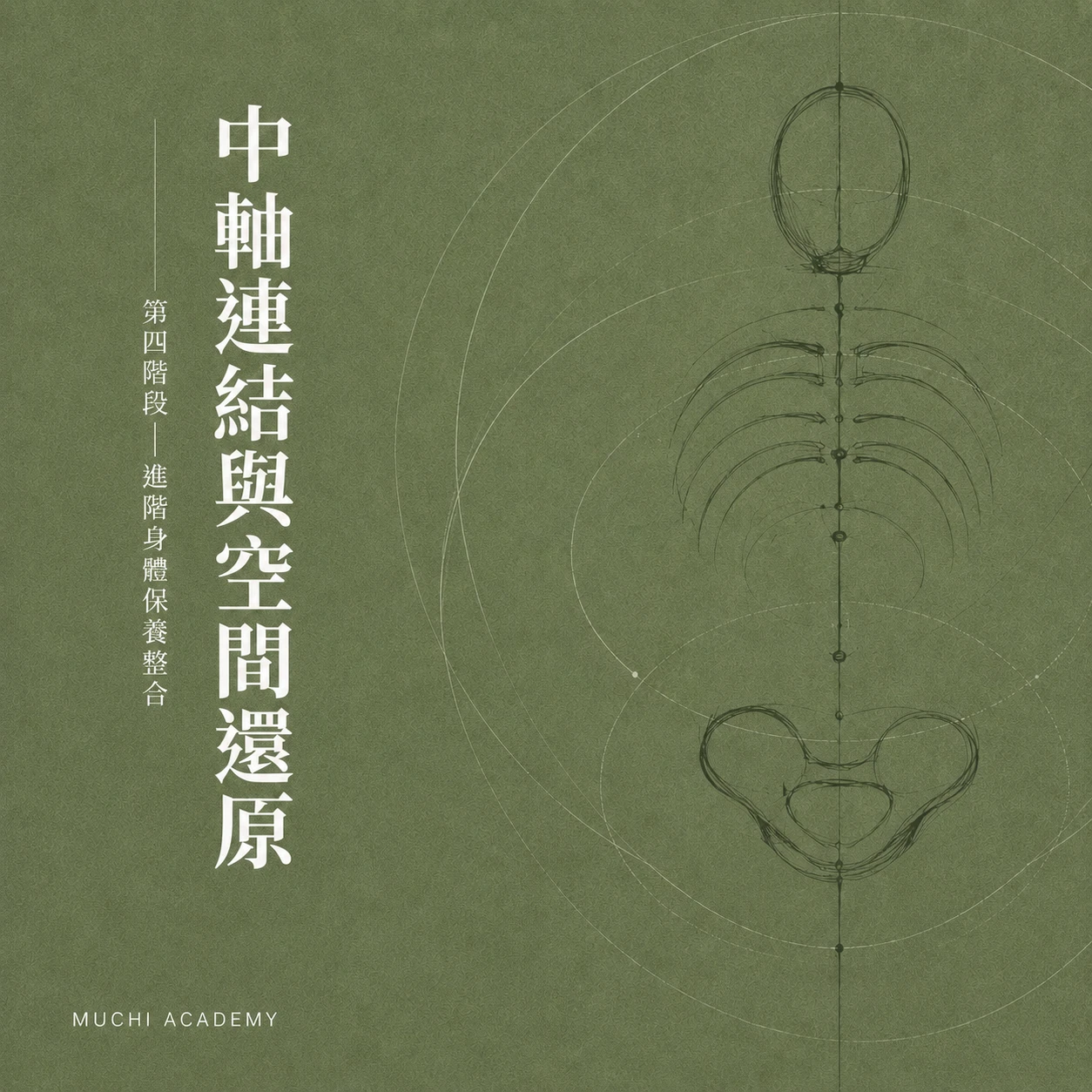 中軸連結與空間還原｜全身結構整合課程｜沐憩學院