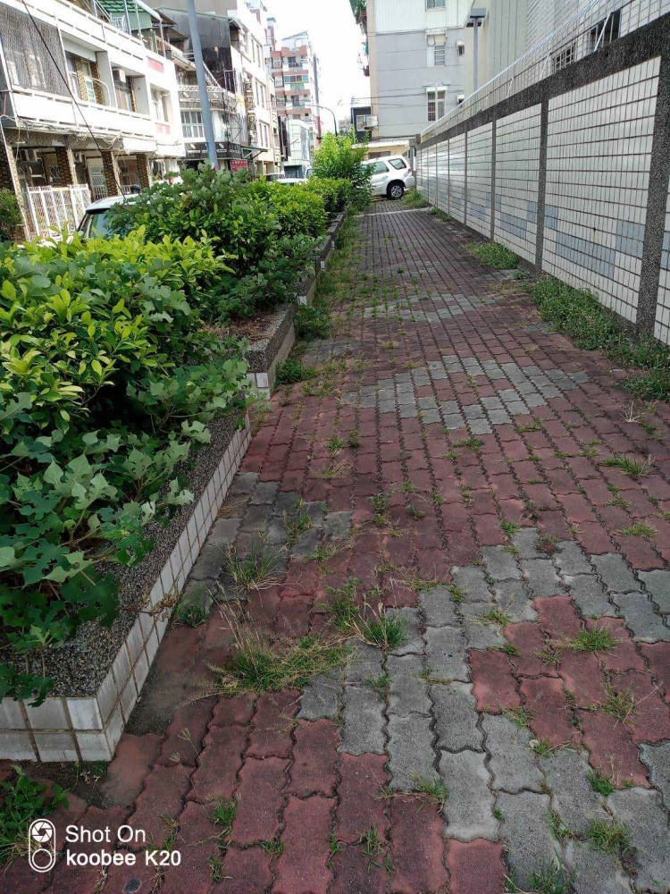 除草、綠籬修剪