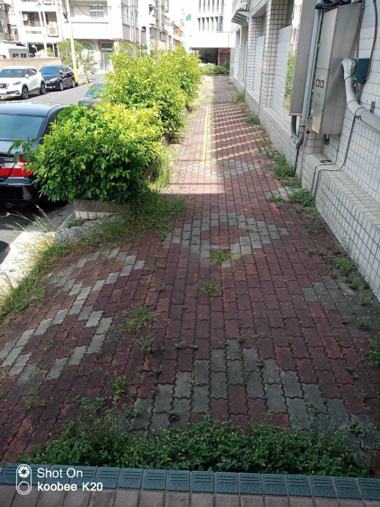 除草、綠籬修剪