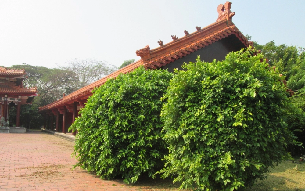 除草、綠籬修剪