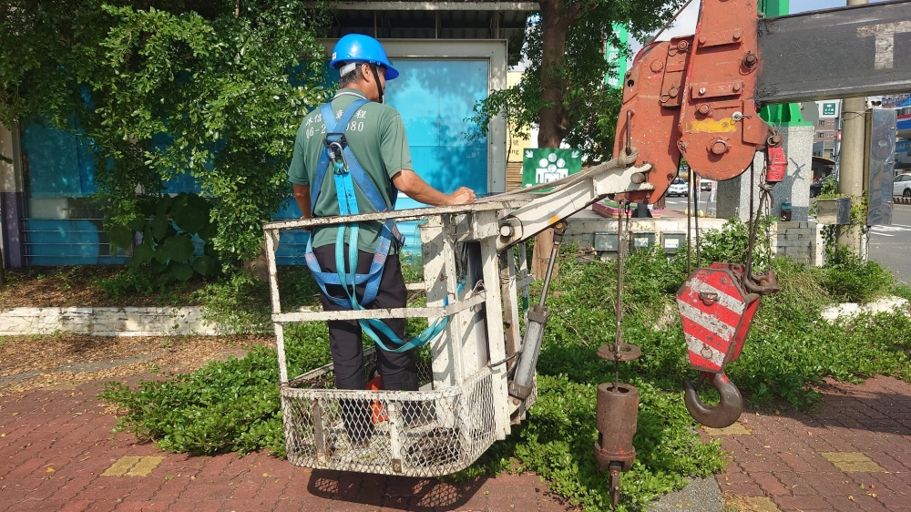 鋸樹園藝