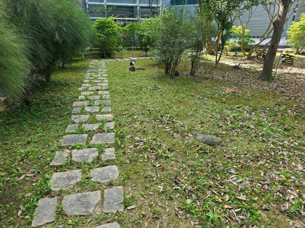 除草、綠籬修剪