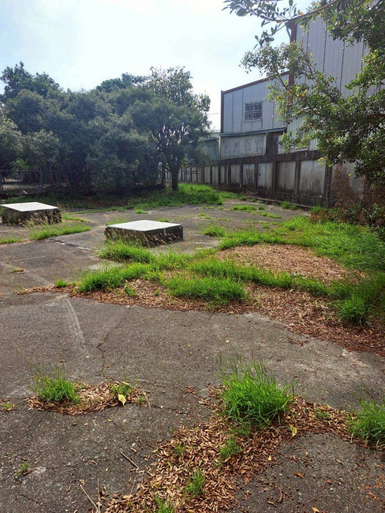除草、綠籬修剪