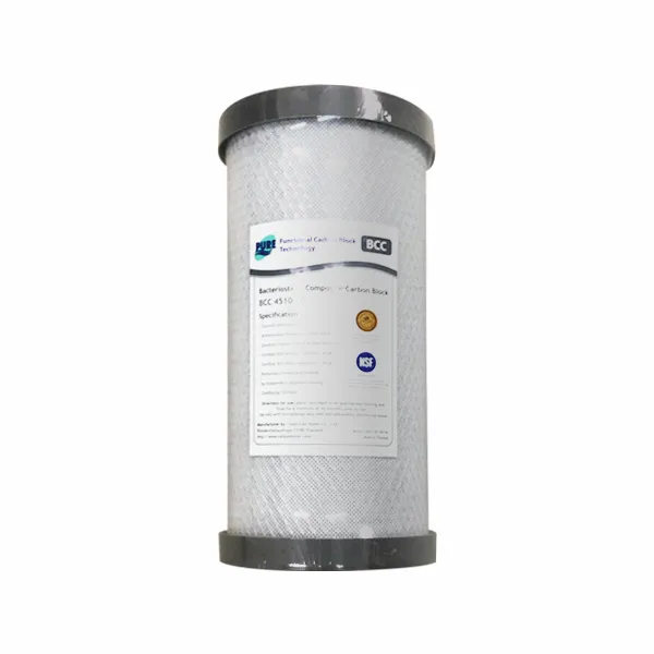 10吋大胖 載銀 CTO活性碳濾心【NSF認證】