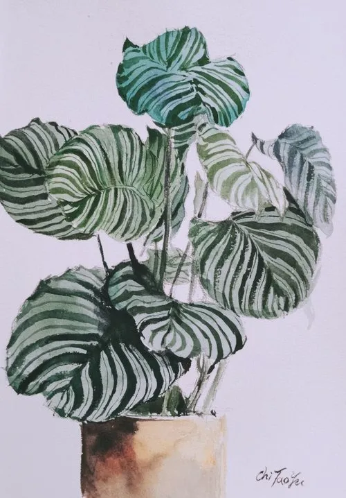 【體驗】一人成團 療癒植物水彩畫 享受畫筆與顏料的樂趣