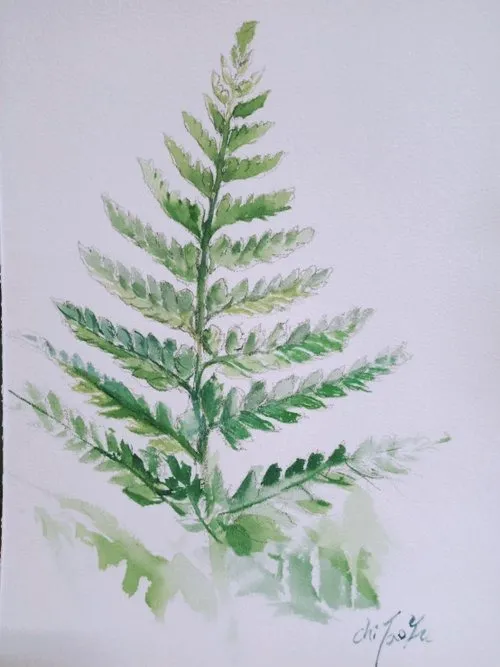 【體驗】一人成團 療癒植物水彩畫 享受畫筆與顏料的樂趣