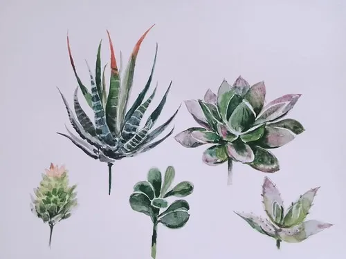 【體驗】一人成團 療癒植物水彩畫 享受畫筆與顏料的樂趣