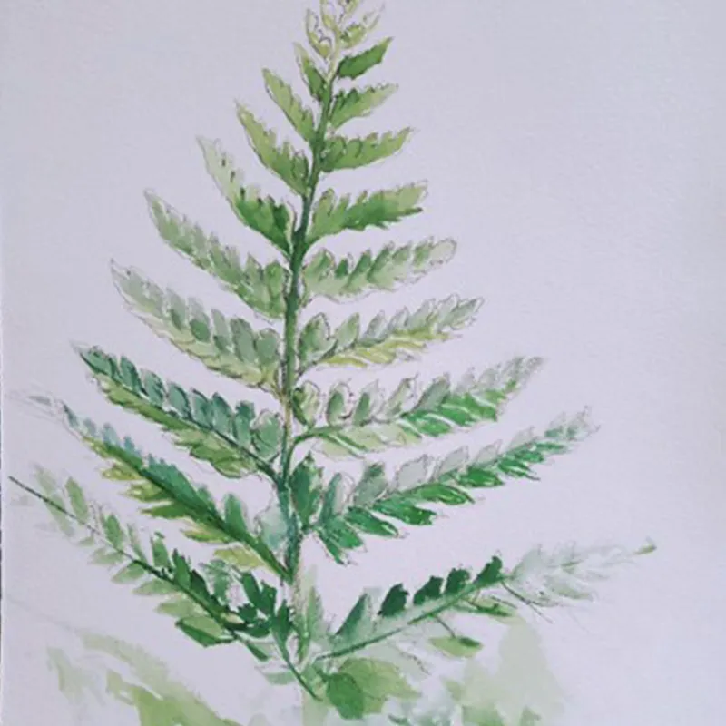 【體驗】【一人成團】療癒植物水彩畫 享受畫筆與顏料的樂趣