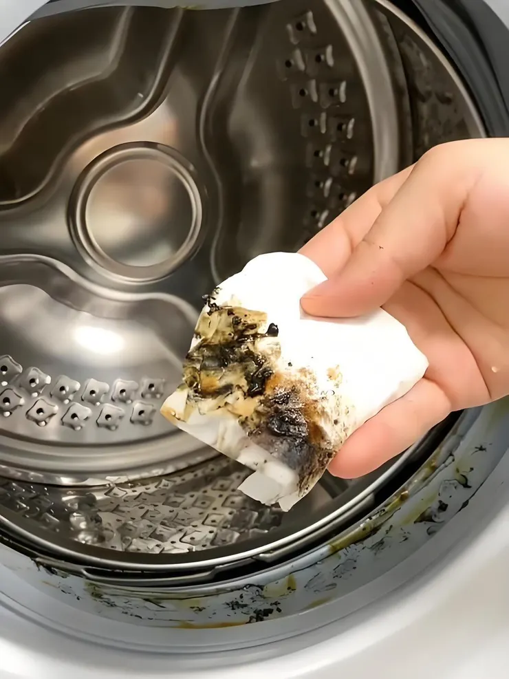 新竹竹北洗衣機清洗推薦：衣服越洗越臭？揭開內桶夾層黑垢真相，專業拆洗還原衣物清新香氣│蟎好生活專業居家清潔有限公司