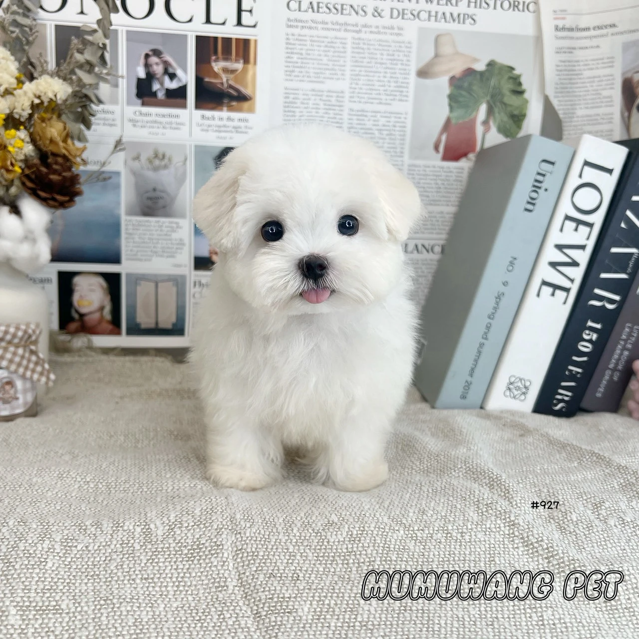 瑪爾濟斯