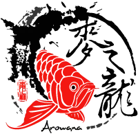 麥之龍精品龍魚會館