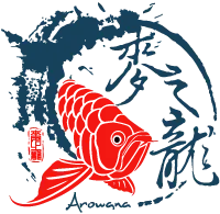 麥之龍精品龍魚會館-龍魚,龍魚專賣店,台中龍魚,北屯龍魚專賣店