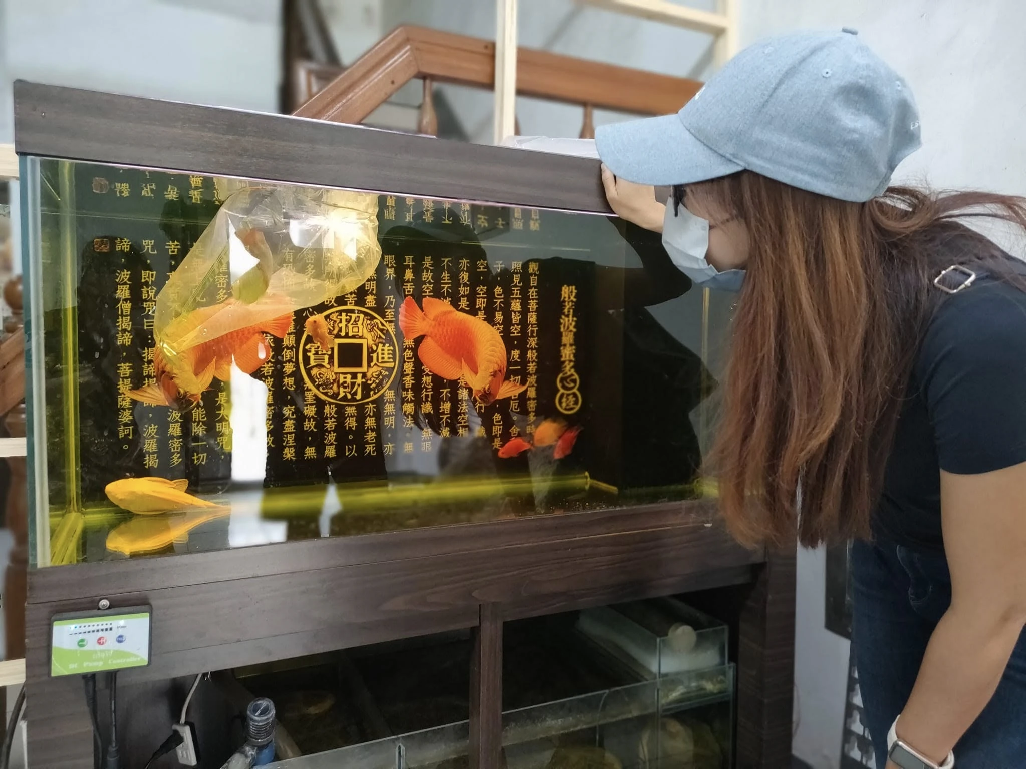 客製化魚缸-測試用請勿下單