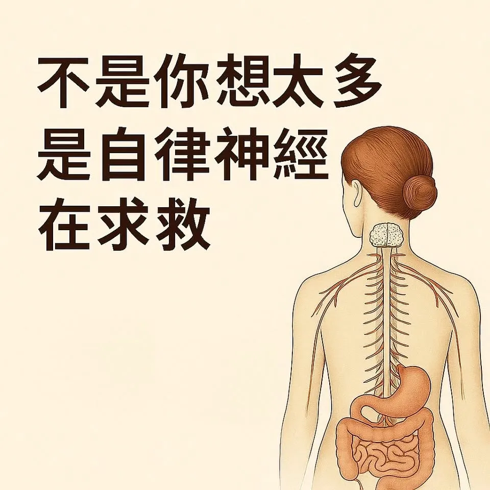 不是你想太多，是自律神經在求救｜台北按摩,淡水按摩