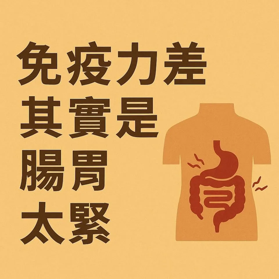 免疫力差，其實是腸胃太緊｜台北運動按摩,淡水運動按摩