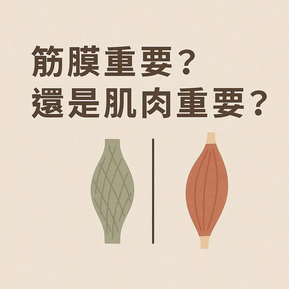 筋膜重要？還是肌肉重要？｜台北筋膜放鬆,淡水筋膜放鬆