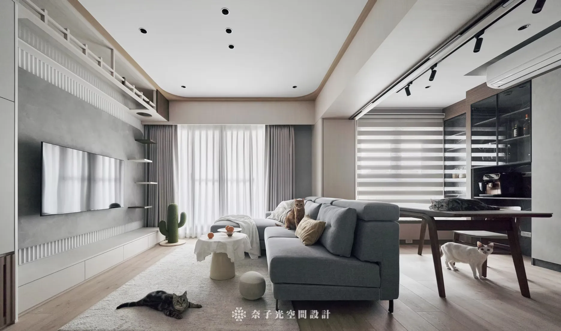 「 貓宅共生 」