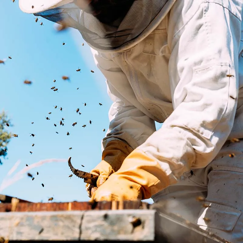 蜂蜜保存方式有哪些？