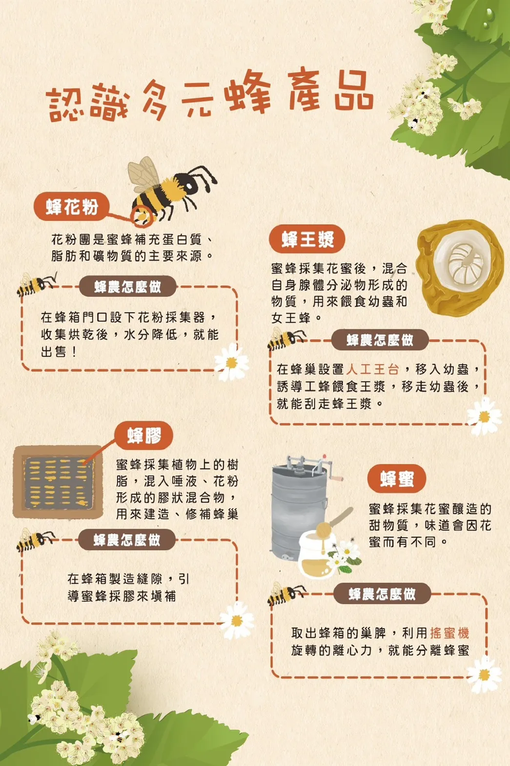 認識多元蜂產品