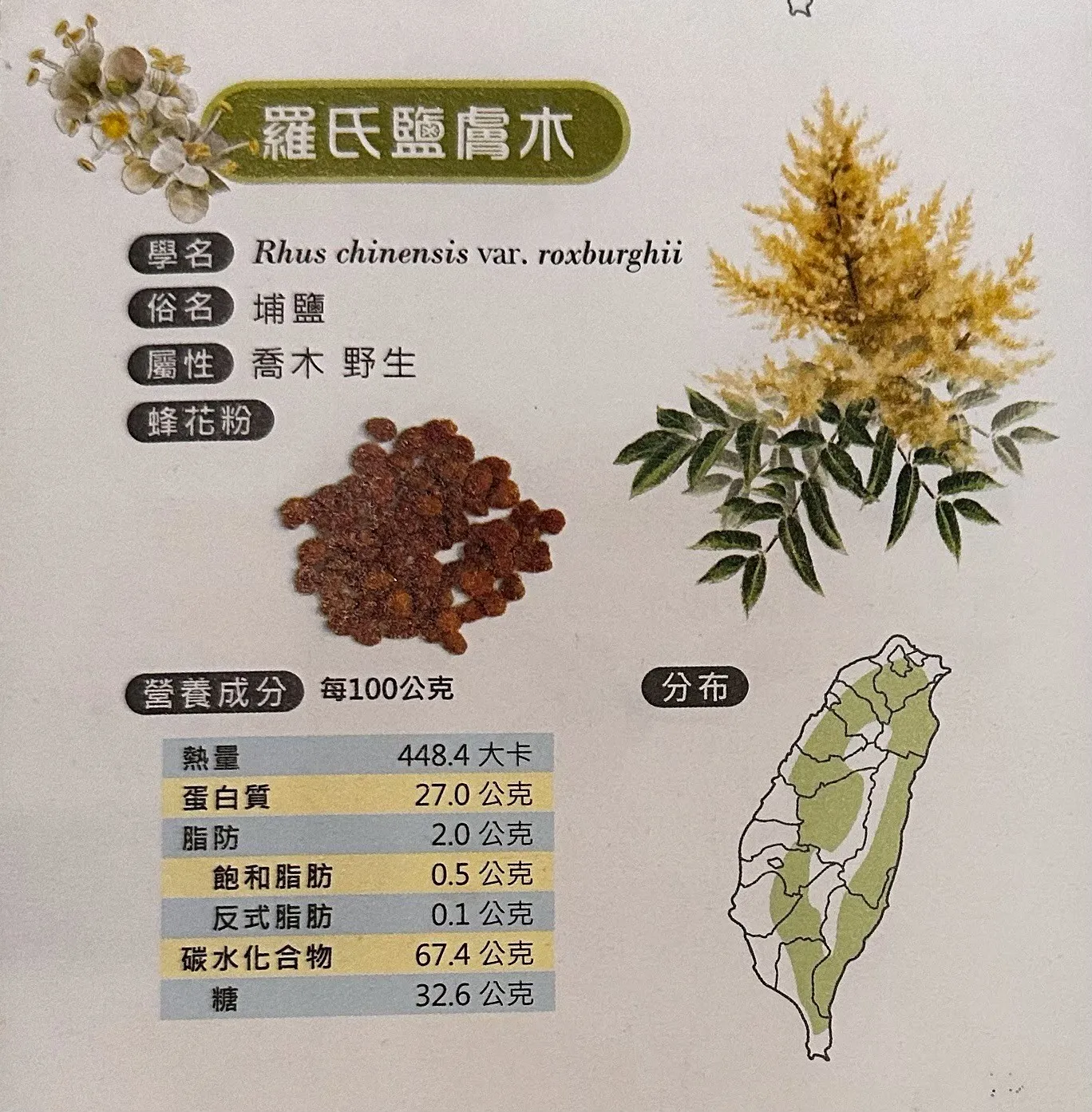 蜂花粉