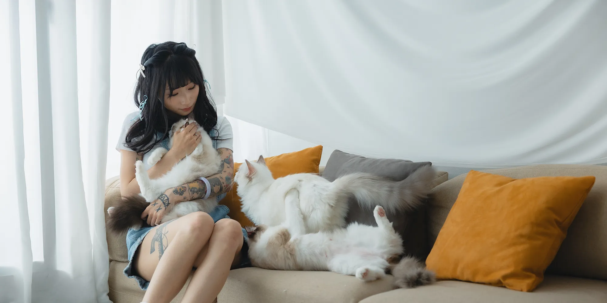 Neko布偶貓舍