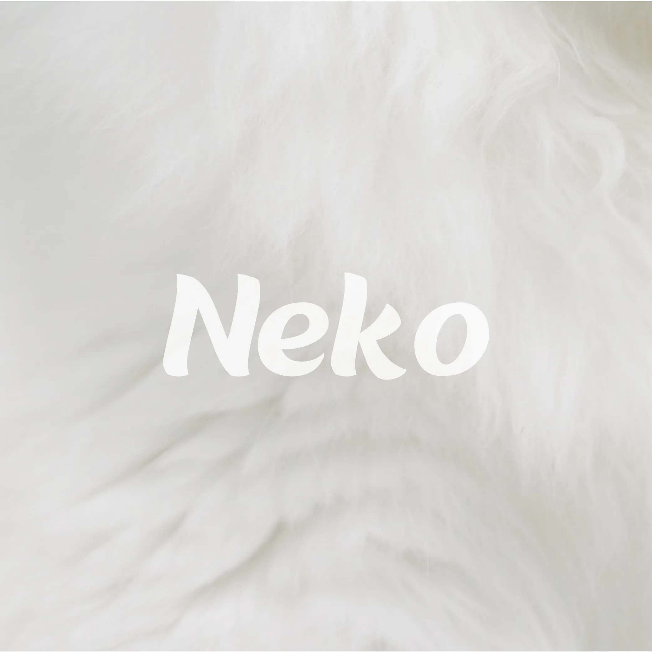 與Neko相遇的溫柔陪伴（網站製作示意）