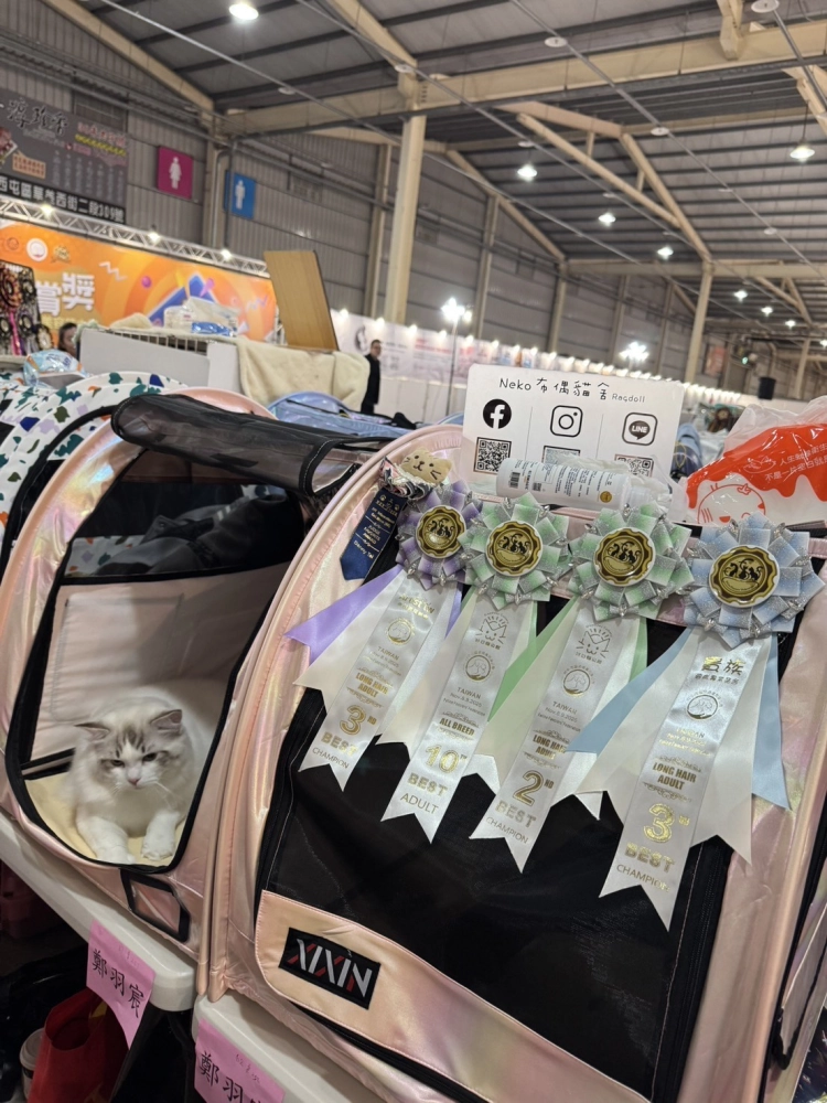 2025 FFF國際名貓展