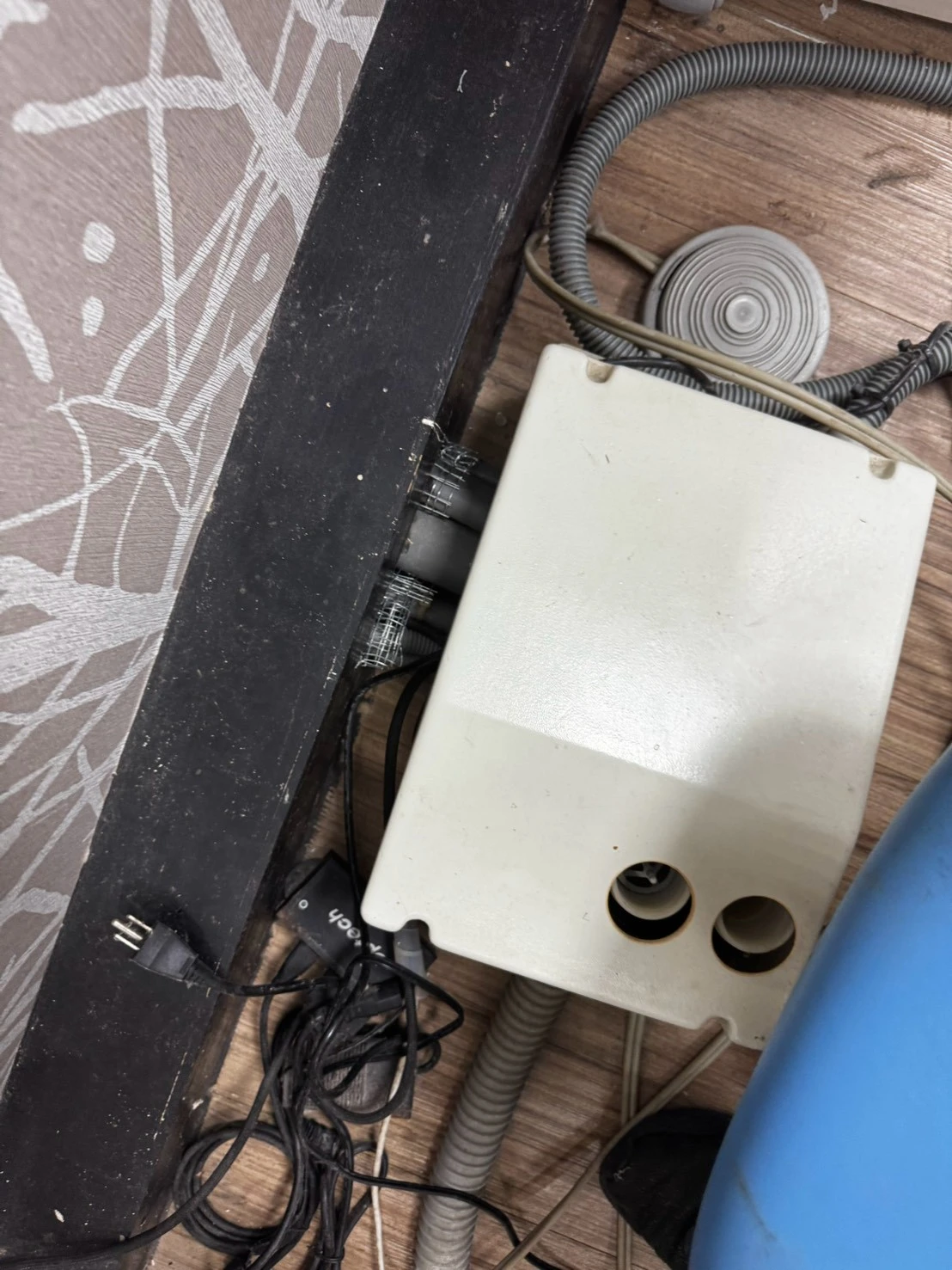 診所鼠害防制(1)