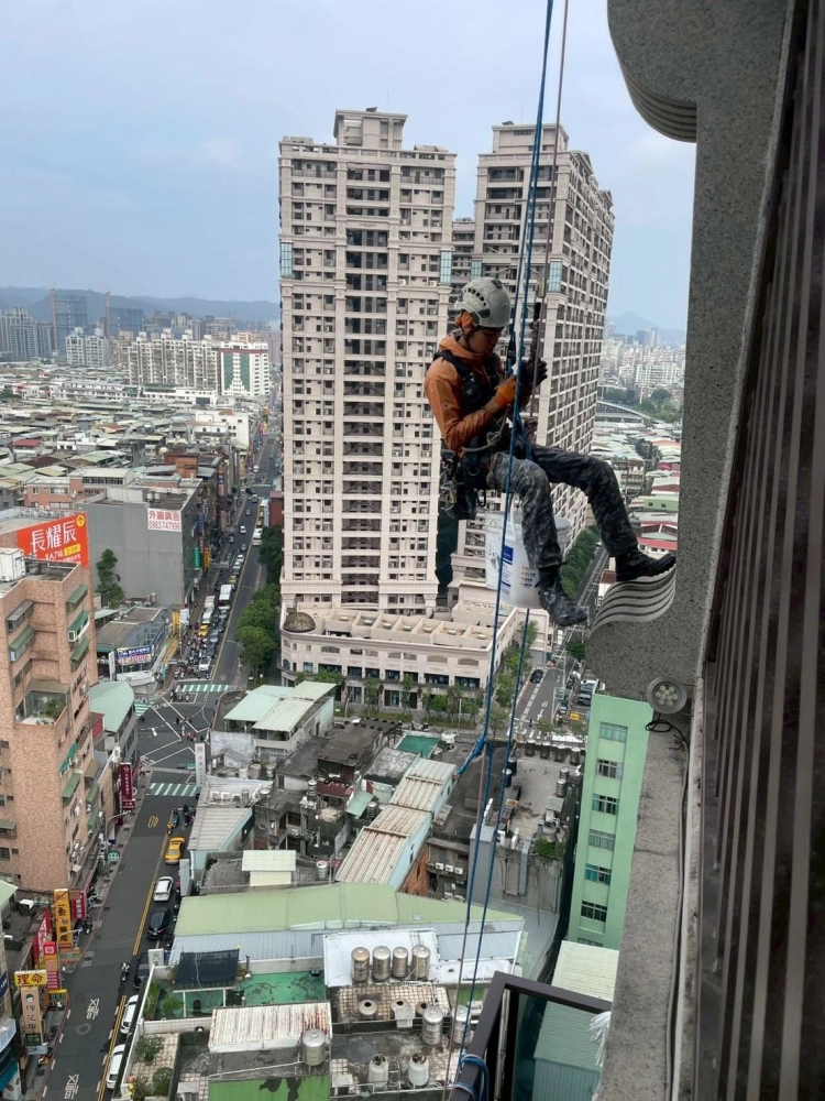 新莊拆除鳥巢安裝防鳥刺
