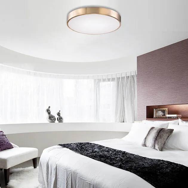  財金吸頂燈-小款 