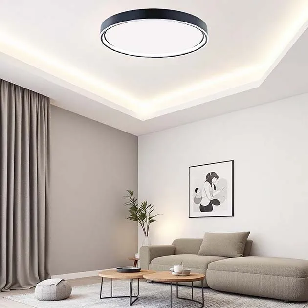  圓語吸頂燈(有兩色) 