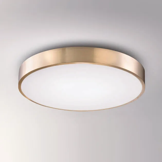  財金吸頂燈-小款 