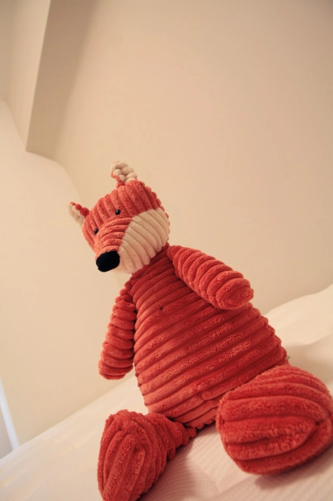 台中小宅設計｜南區小宅設計｜張小姐