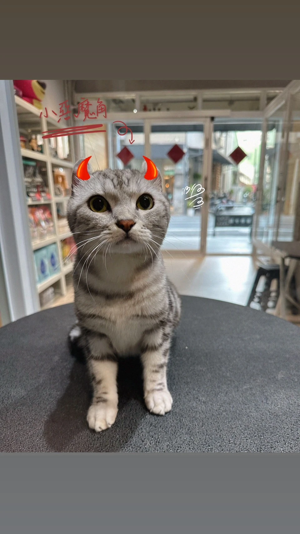 擁有惡魔角の白糖粿ψº￦ºψ