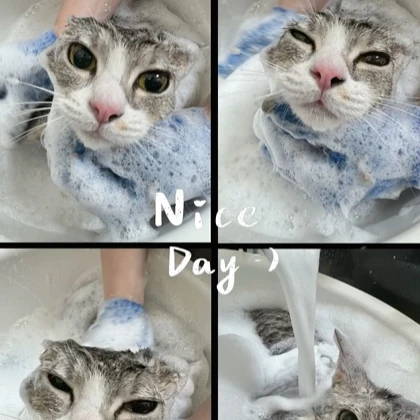 真享受(▰˘◡˘▰) 曼赤肯_Omi
