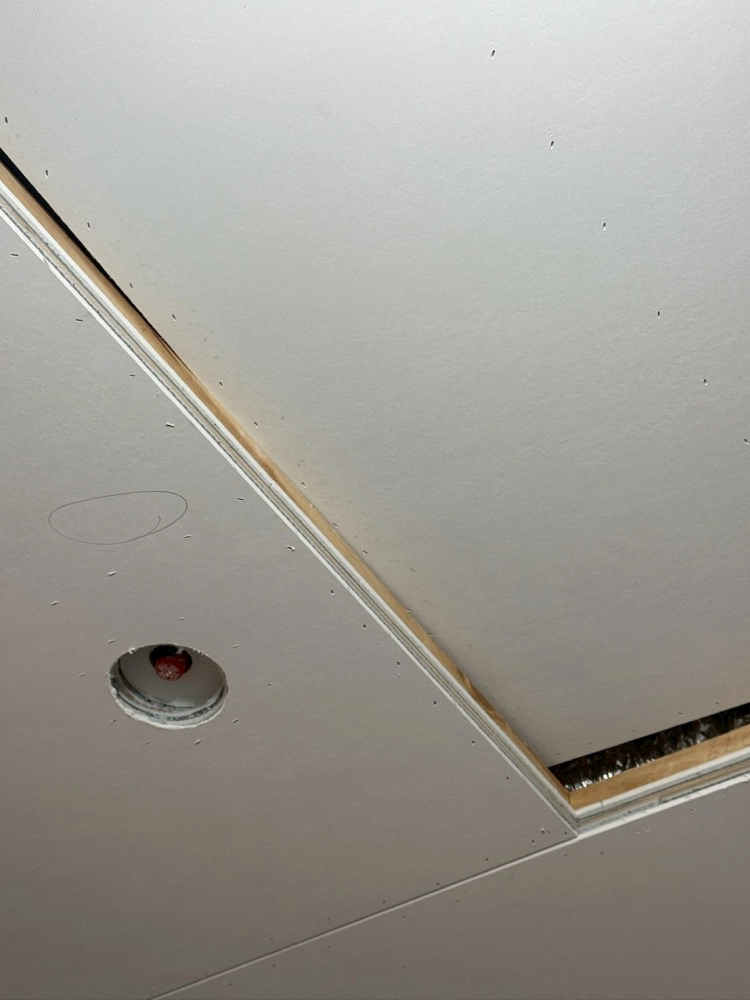 敦南住宅｜天花板隔音