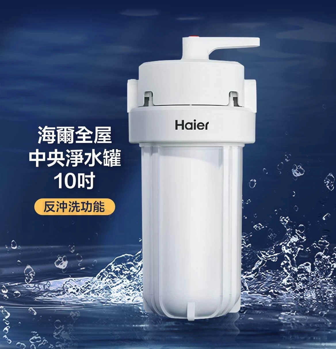 反沖洗中央淨水罐 10吋