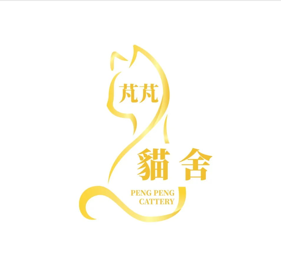 桃園布偶貓舍推薦怎麼選？新手買貓必看 5 大重點