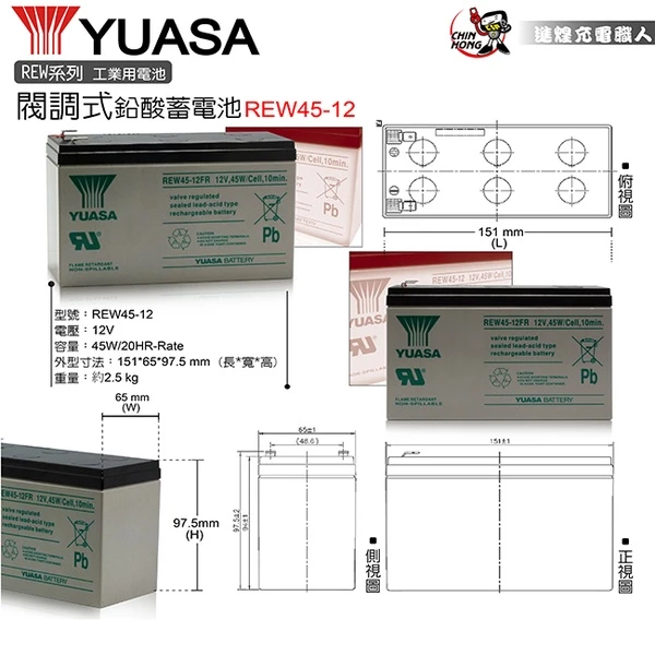 YUASA湯淺REW45-12閥調密閉式鉛酸電池 12V45W UPS不斷電系統 消防系統 兒童電動車 玩具車