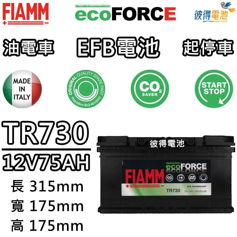 義大利FIAMM TR730 EFB 75AH 怠速熄火汽車電瓶 FORD Focus Kuga Range