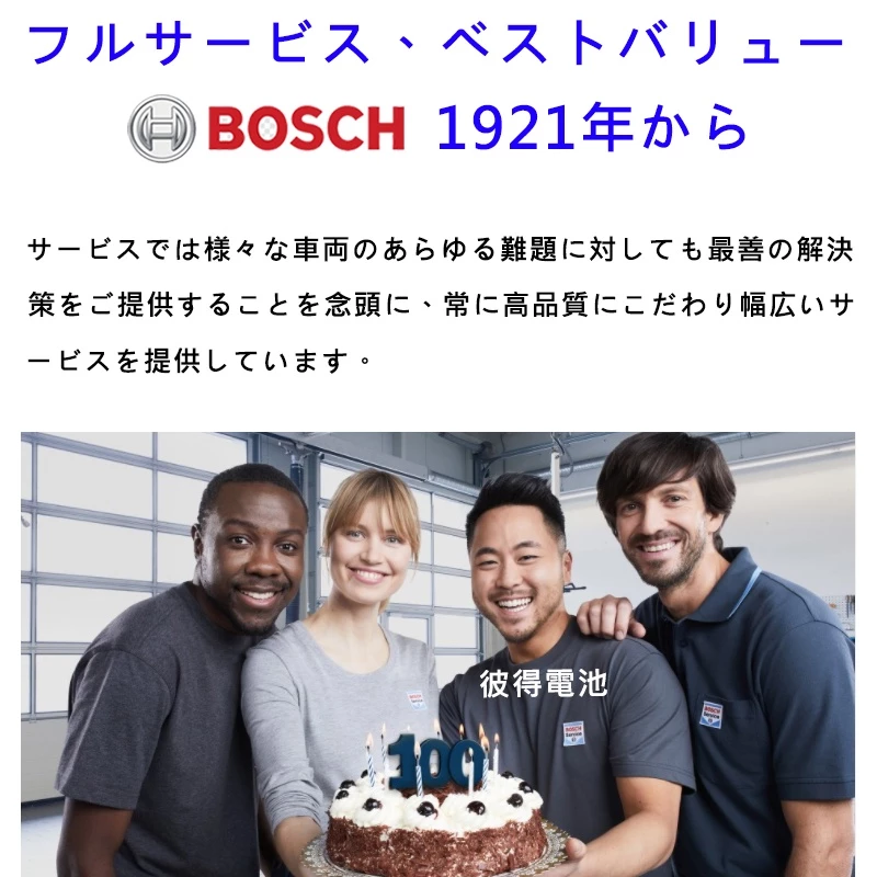 德國BOSCH博世S95L 105D26L S95R 105D26R EFB汽車電瓶 怠速熄火 油電車電池
