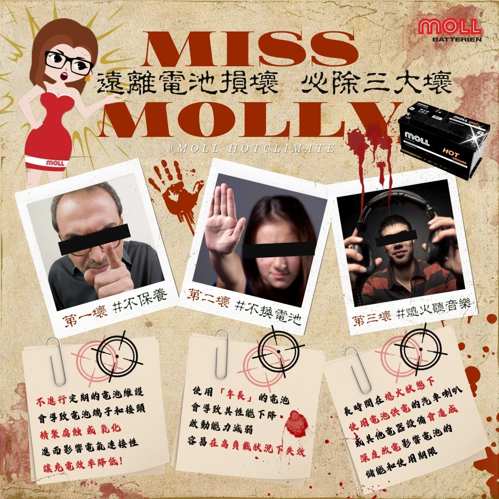 MOLL 85063 HOT Climate電瓶 高性能 12V 63AH 540CCA 免加水汽車電池 德國製