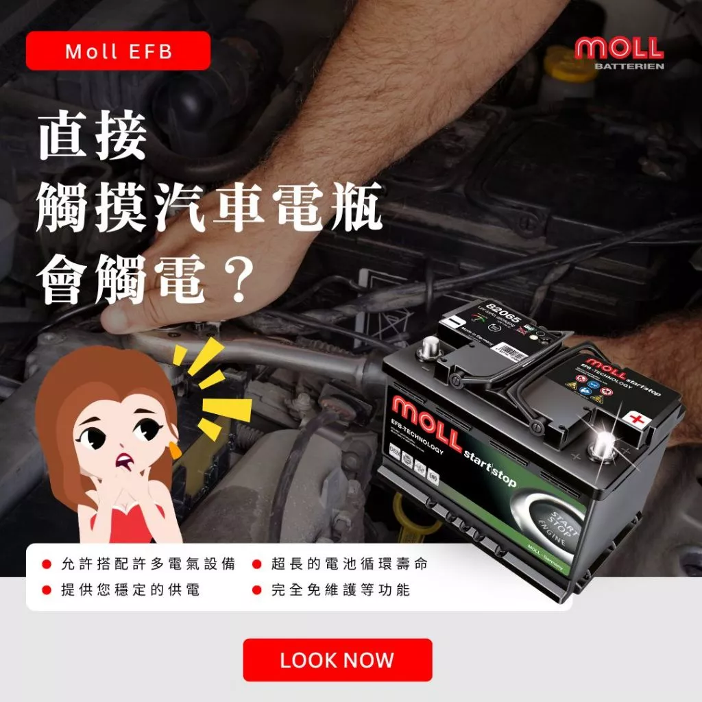 MOLL 82060 Start-Stop EFB電瓶 高性能 12V 60AH 640CCA 免加水汽車電池 德國製